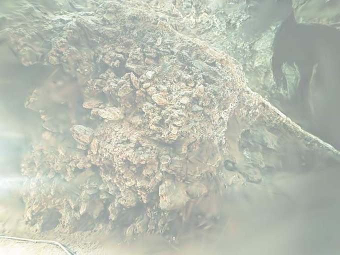 luminance-gs render, d01