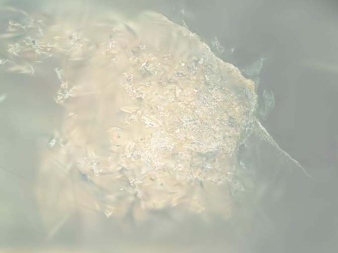 luminance-gs render, d02