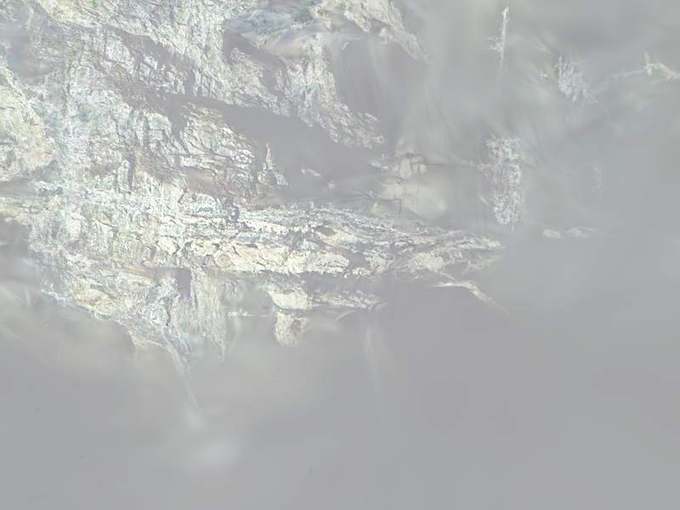luminance-gs render, d05