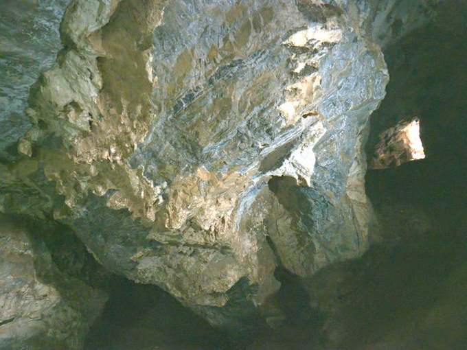 reference d08